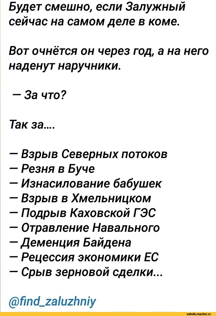 Будет смешно, если Залужный сейчас на самом деле в коме. Вот очнётся он  через год, а на него наденут наручники. — За что? Так за.... — Взрыв  Северных потоков — Резня в