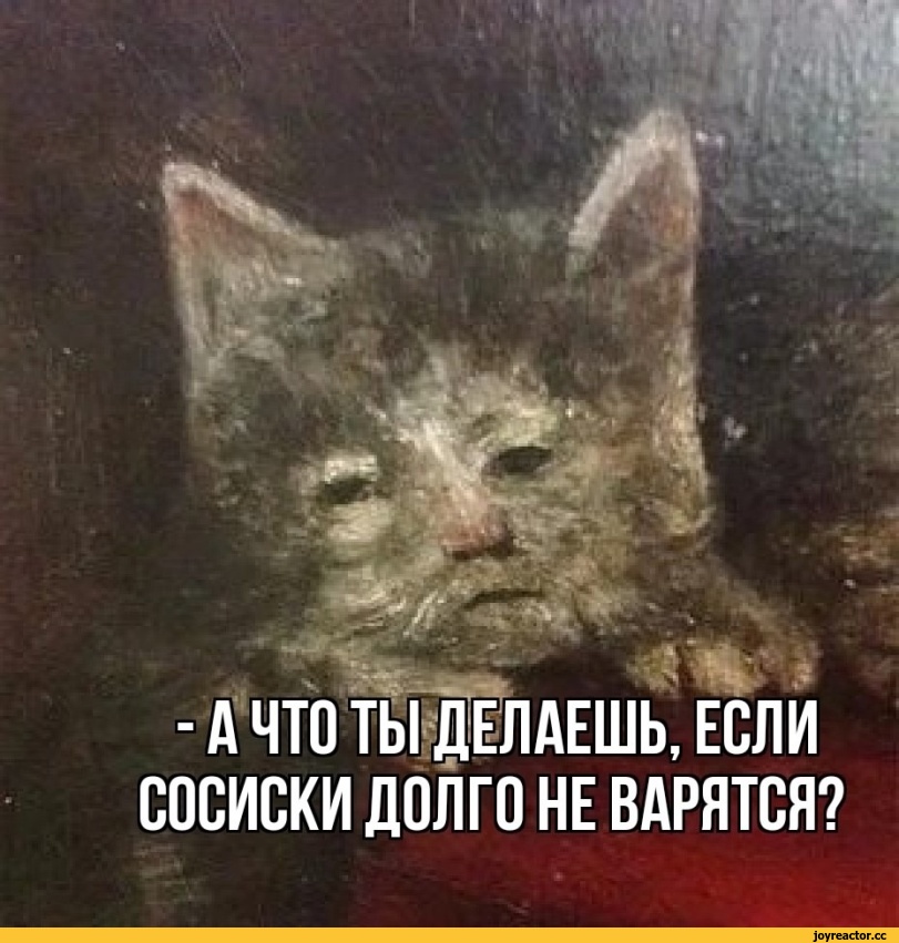 ﻿СОСИСКИ ДОЛГО НЕ ВАРЯТСЯ?,Приколы для даунов,разное,длинопост,котэ,прикольные картинки с кошками,каламбур,Легкая наркомания