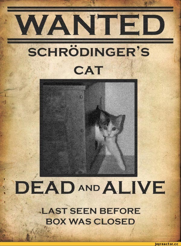 ﻿WANTED
schrodinger's
cat
DEAD and ALIVE
LAST SEEN BEFORE
BOX WAS CLOSED
0 ' pt , , ,,Бред