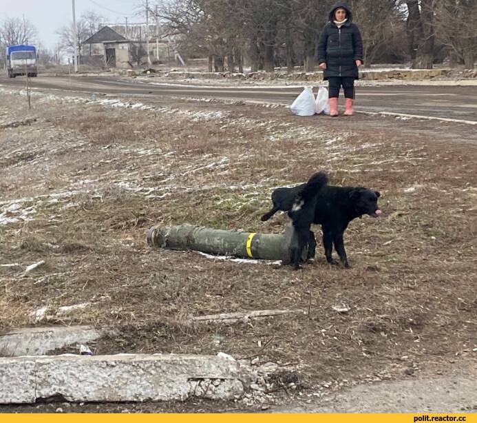 ﻿			У. i rvj	'Щ
i		ffij.		
	Li,собака,собакен, песель, пес,Ракета,война,Javelin,песочница политоты,политика,политические новости, шутки и мемы